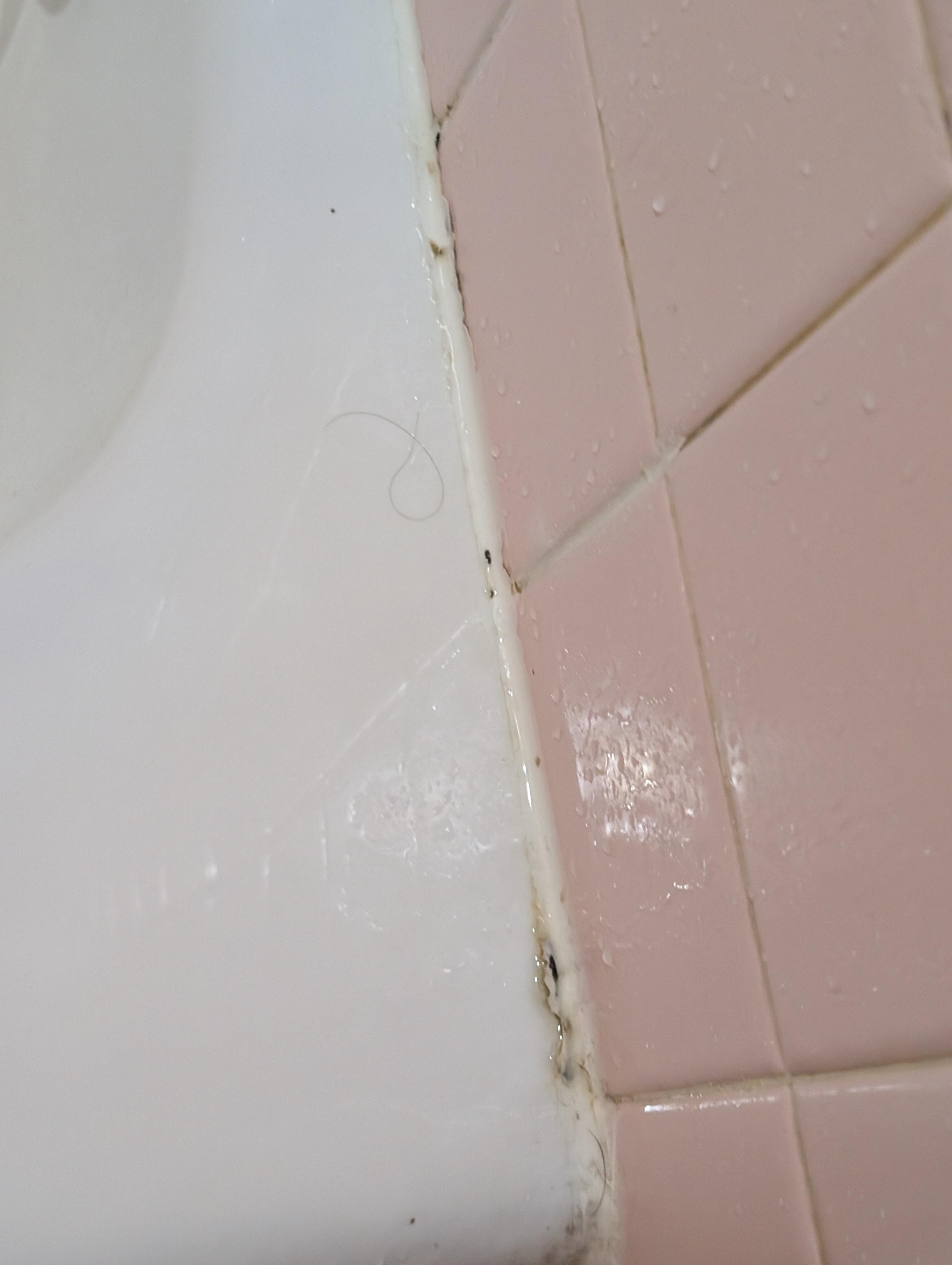 Again more mold