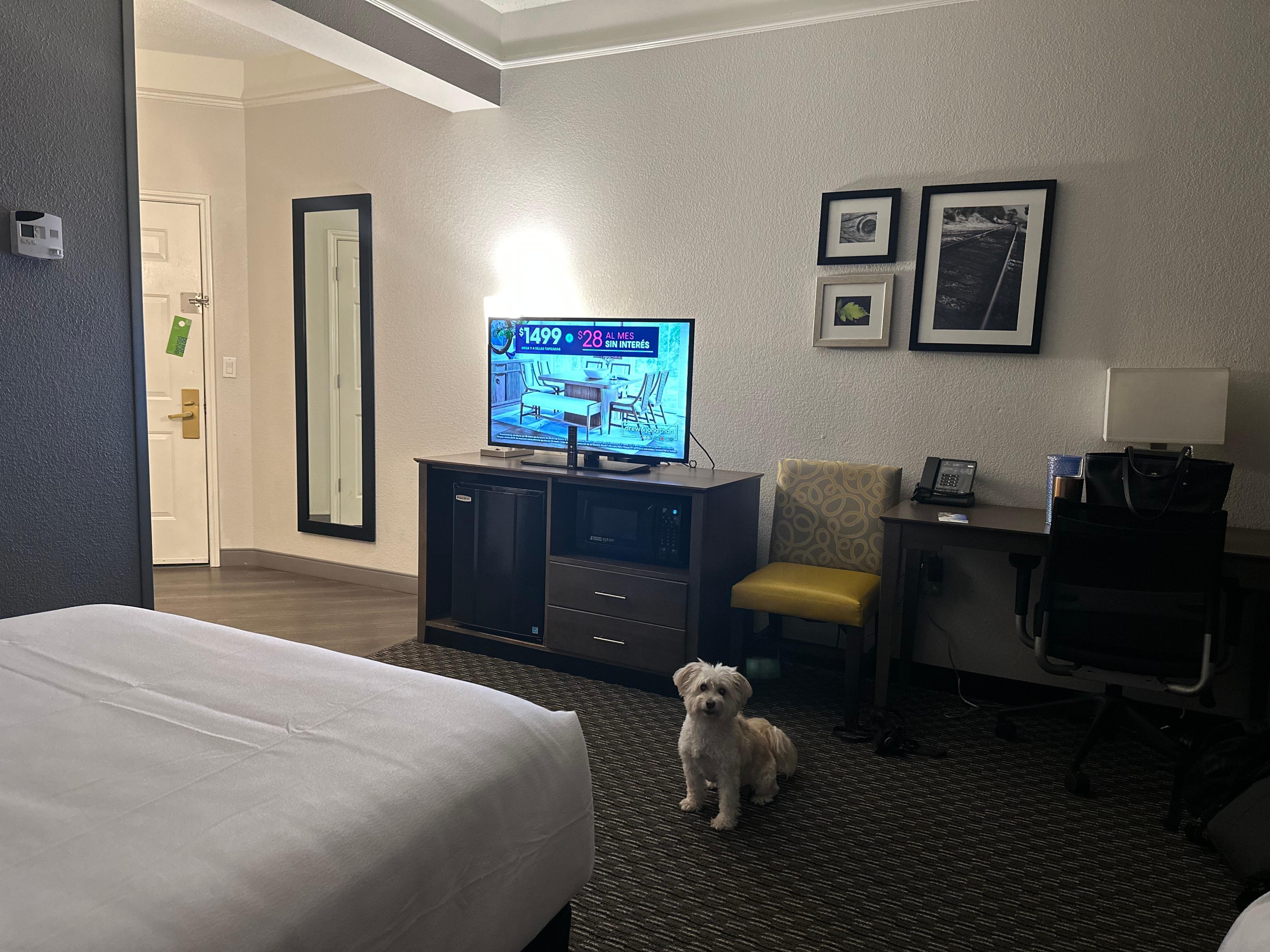 Room, includes microwave and mini fridge 