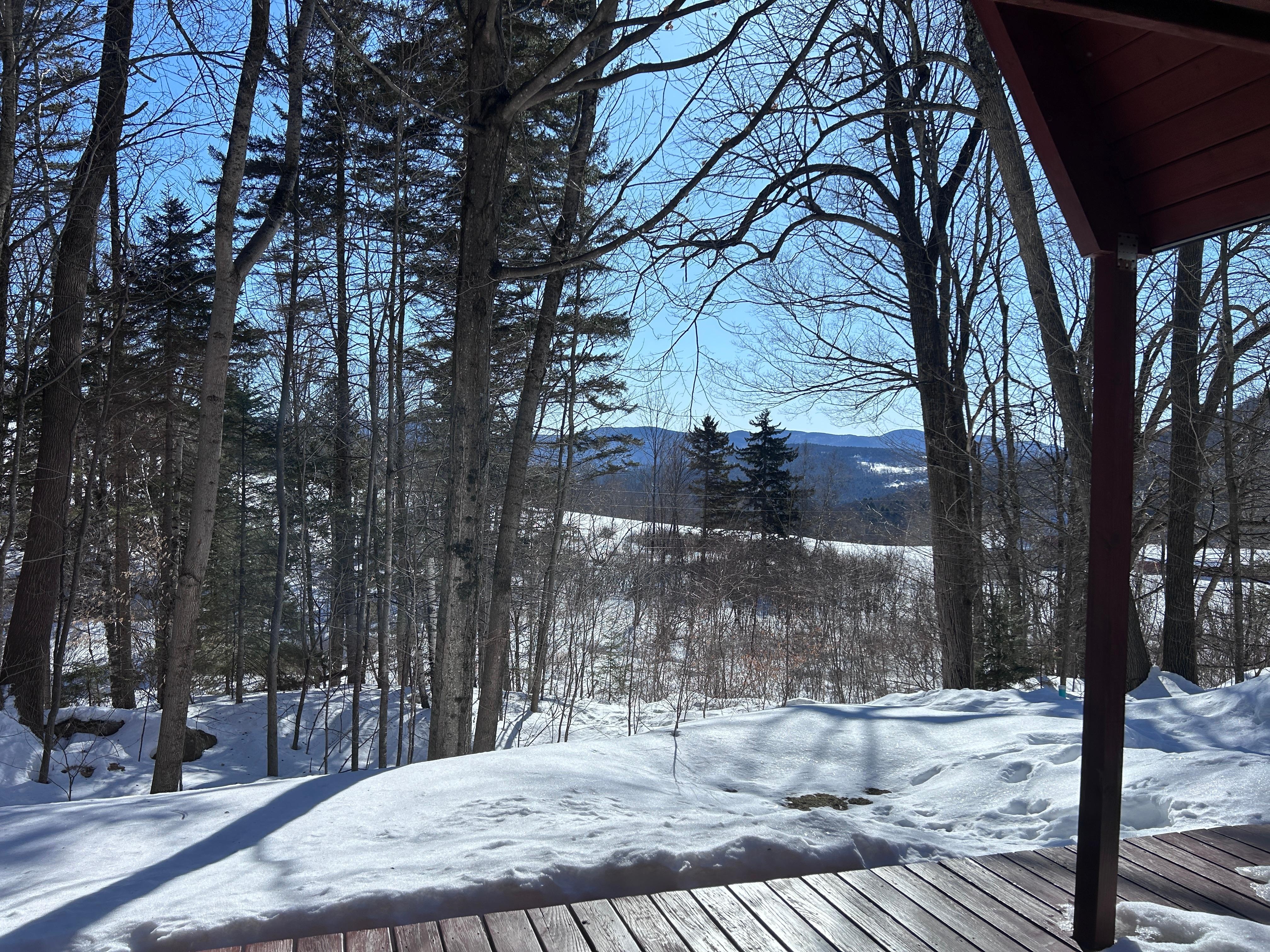 View from family room.