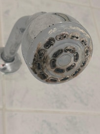 Mould and limescale on shower head