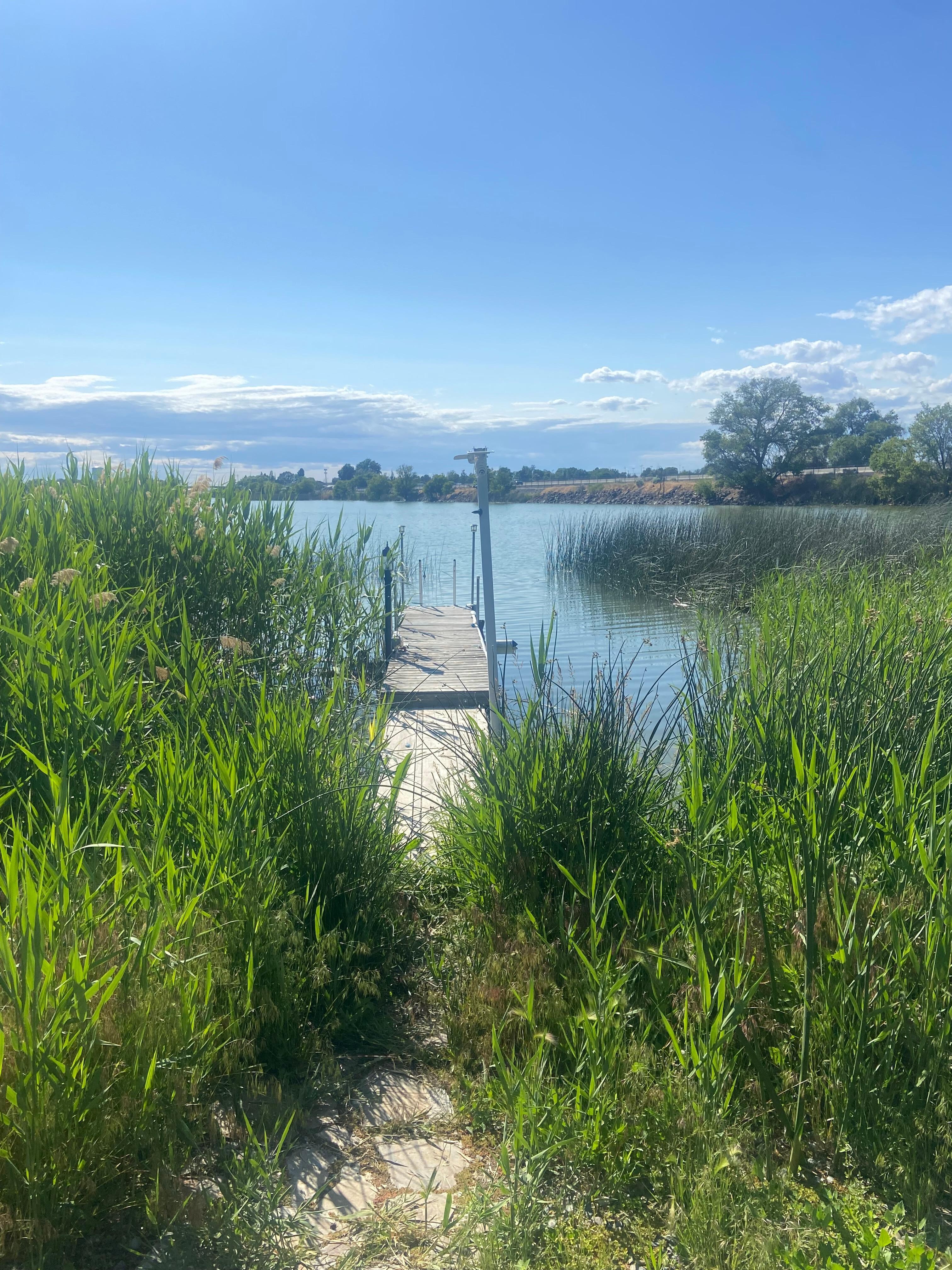 The dock