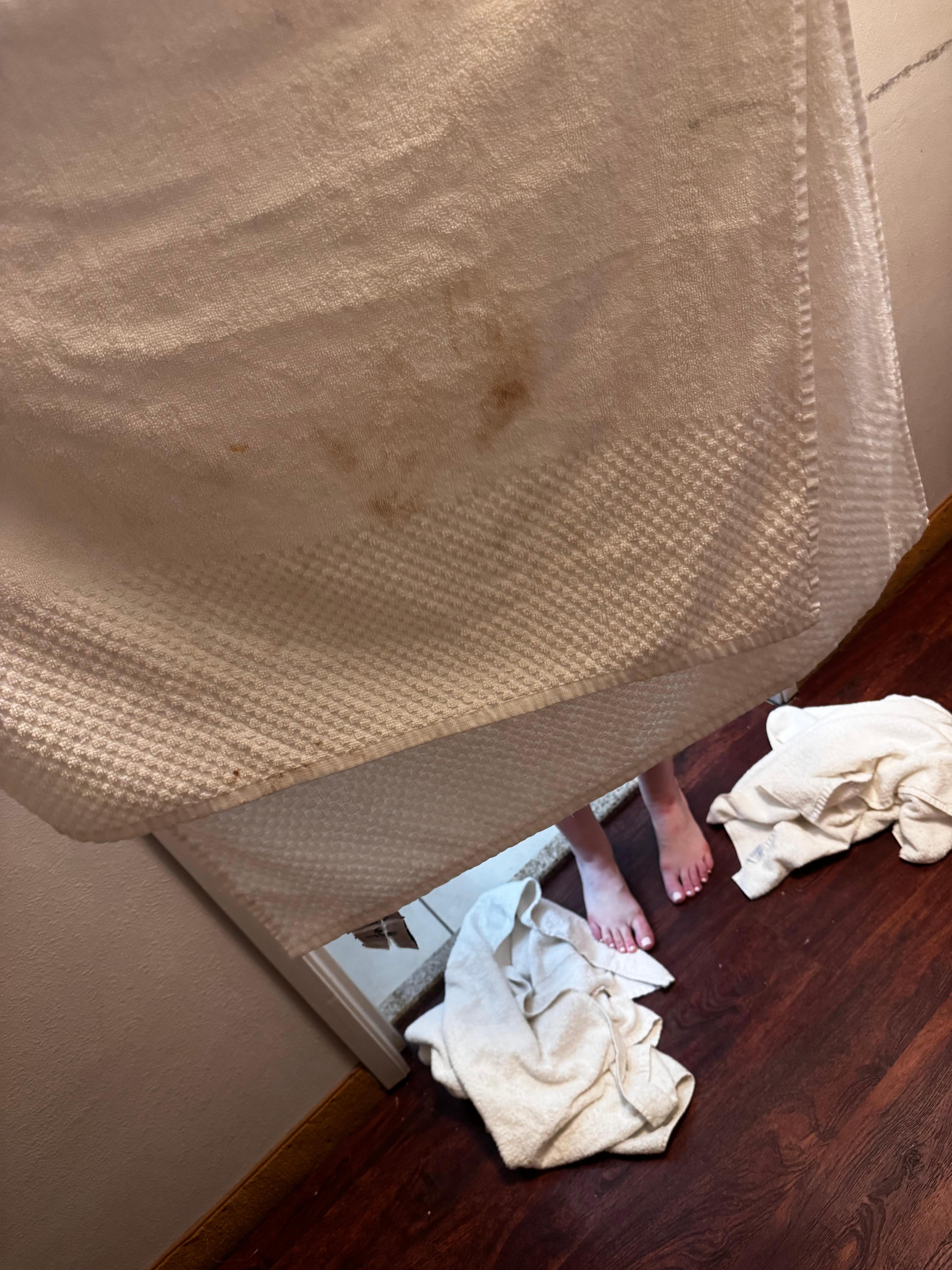 Blood on the towels. (Apparently they were freshly cleaned)