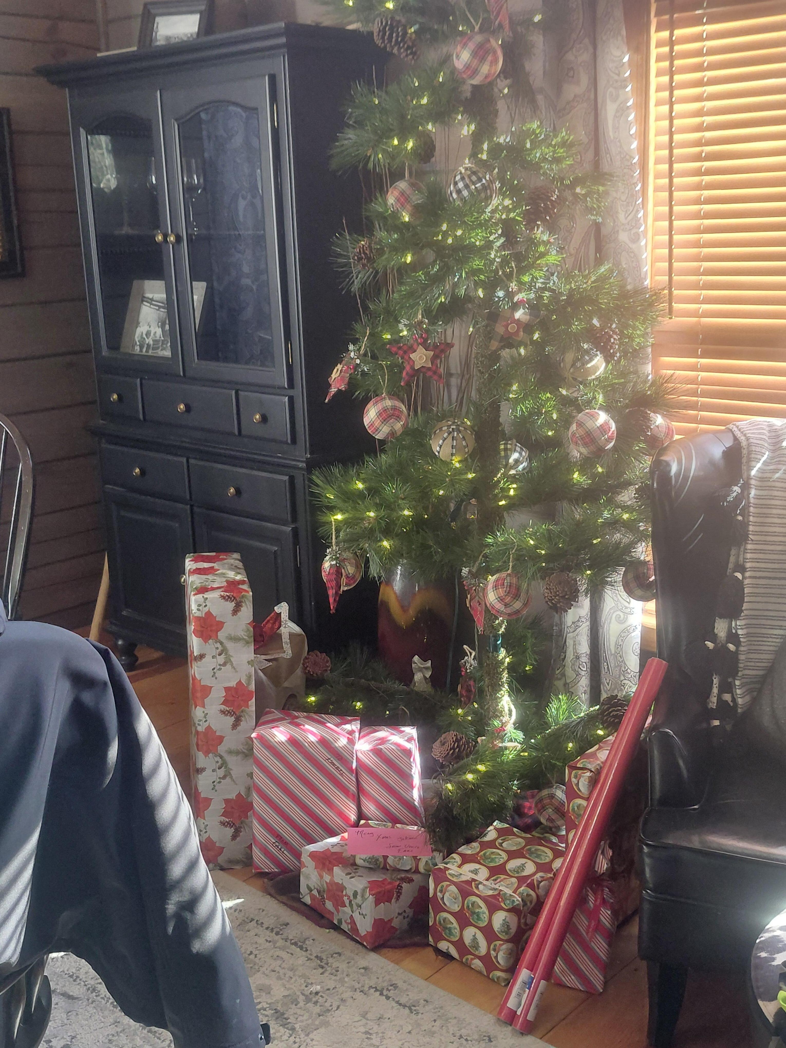 They have christmas decorations, what made it so very easy for my kids? It was a cozy Christmas. The whole cabin itself was amazing. I didnt  wonna leave 