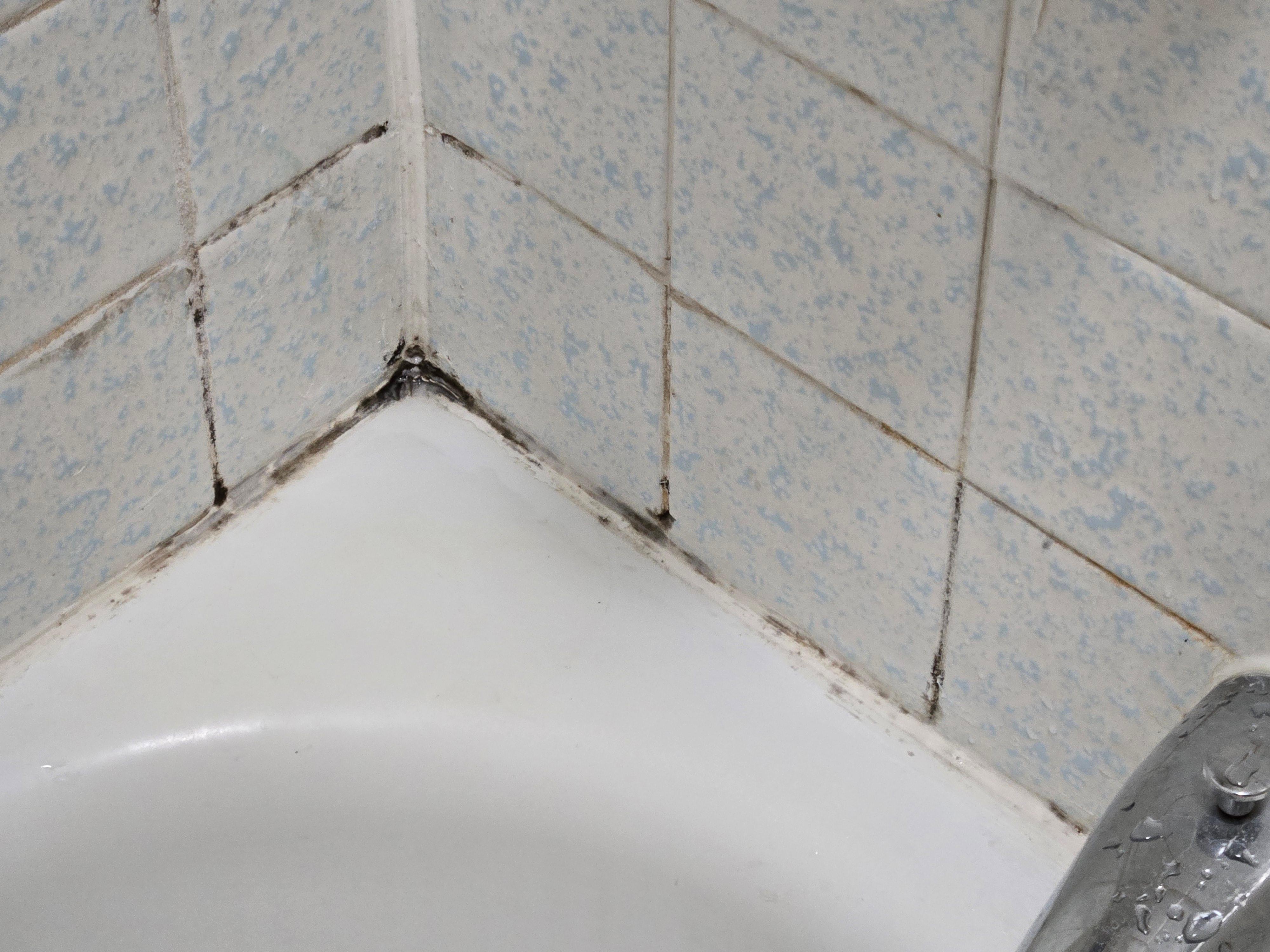 Shower stall tile 3