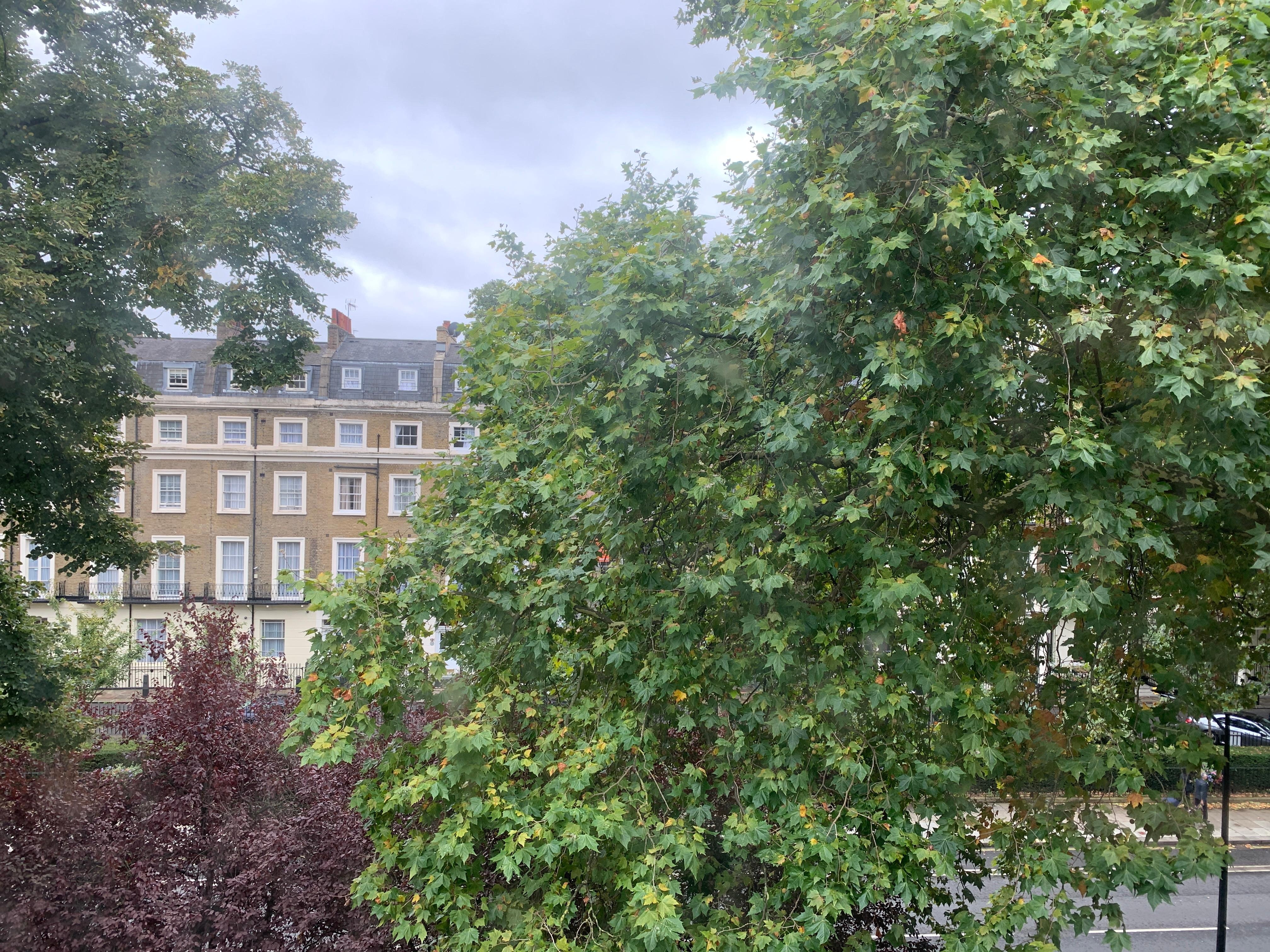 Room 303 street view