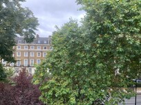 Room 303 street view