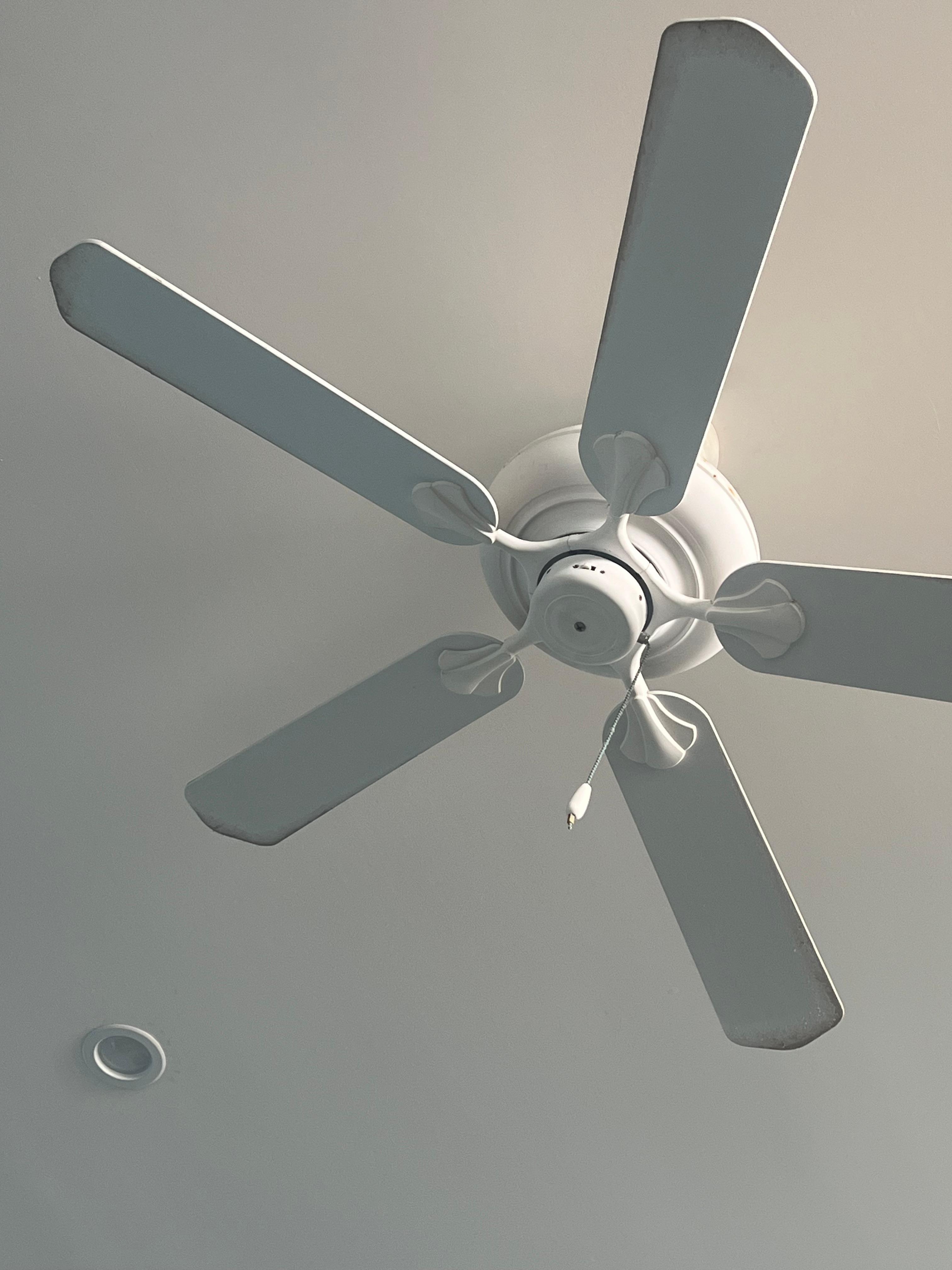 All ceiling fans were filthy