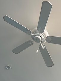 All ceiling fans were filthy