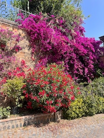 Beautiful grounds
