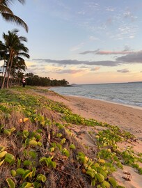 Looking up the beach.