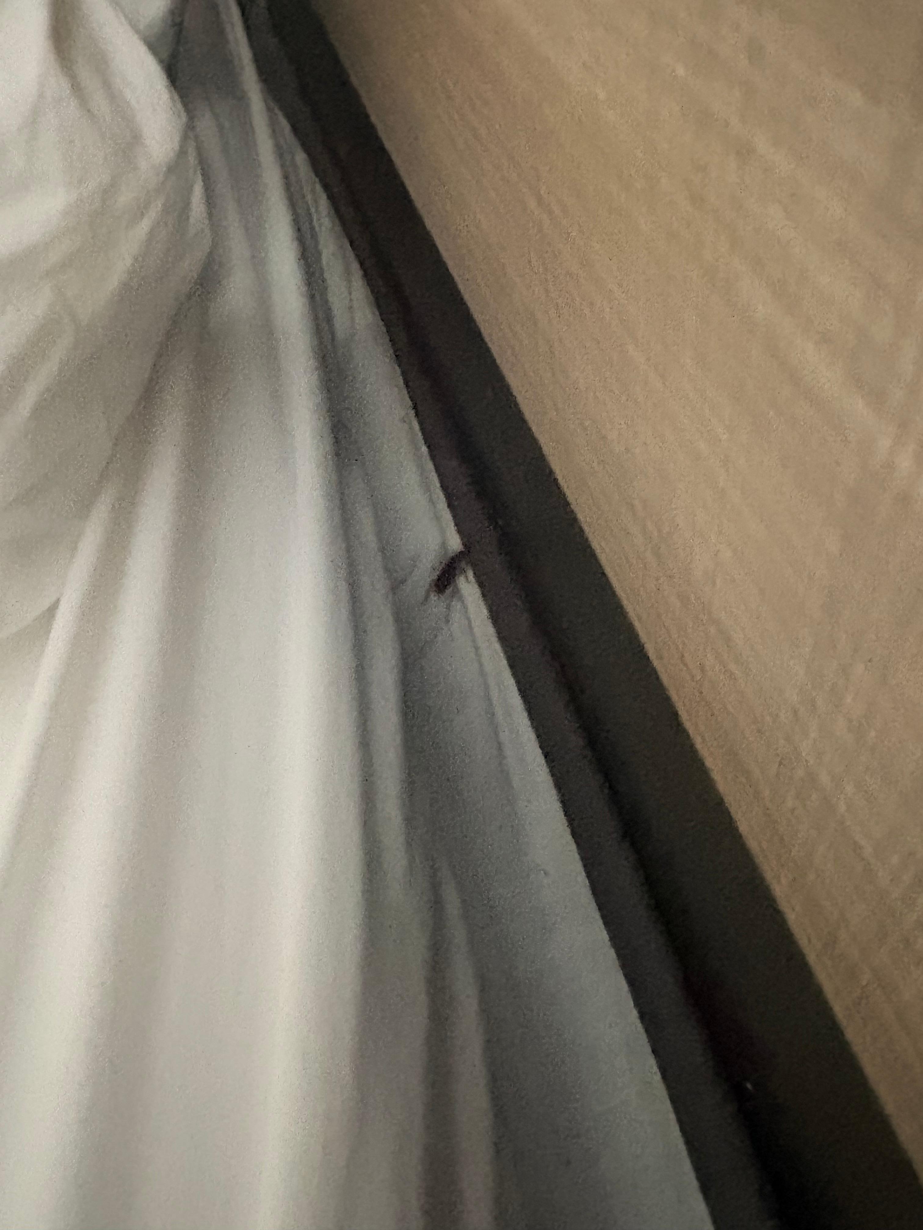 it moved after we took the photo