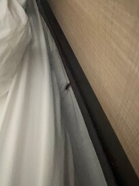 it moved after we took the photo