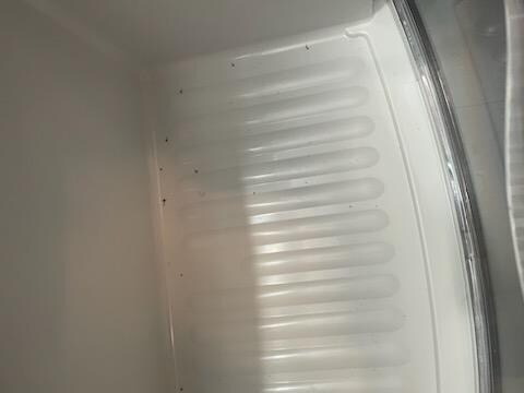 Dirty fridge 