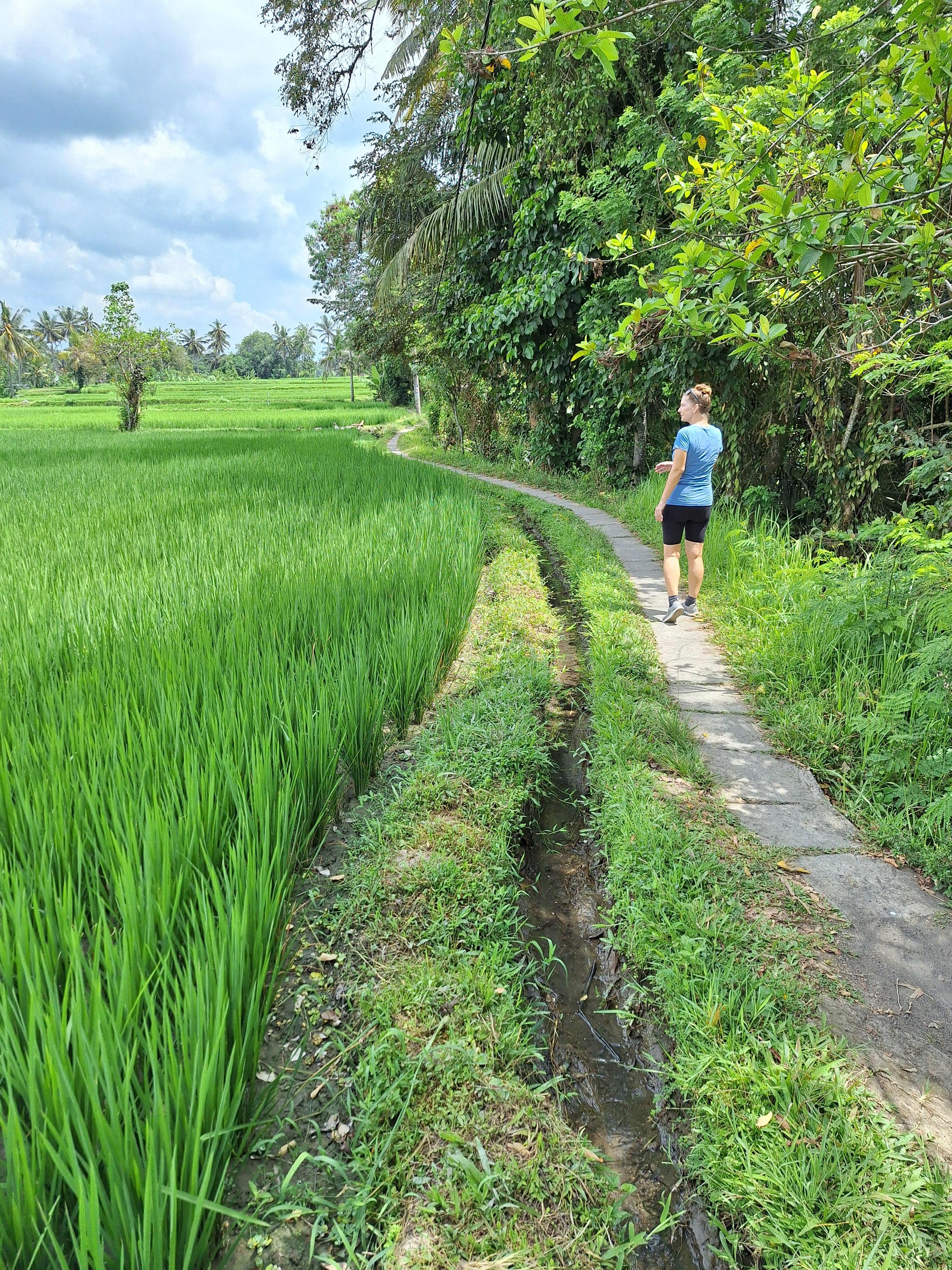 A view of a tiny part of the Sari Organic walk.