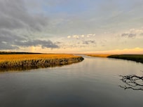 Marsh light