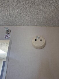 Shabby, tears in wallpaper, maybe people wouldn't hang clothes on sorinkler if there was a closet