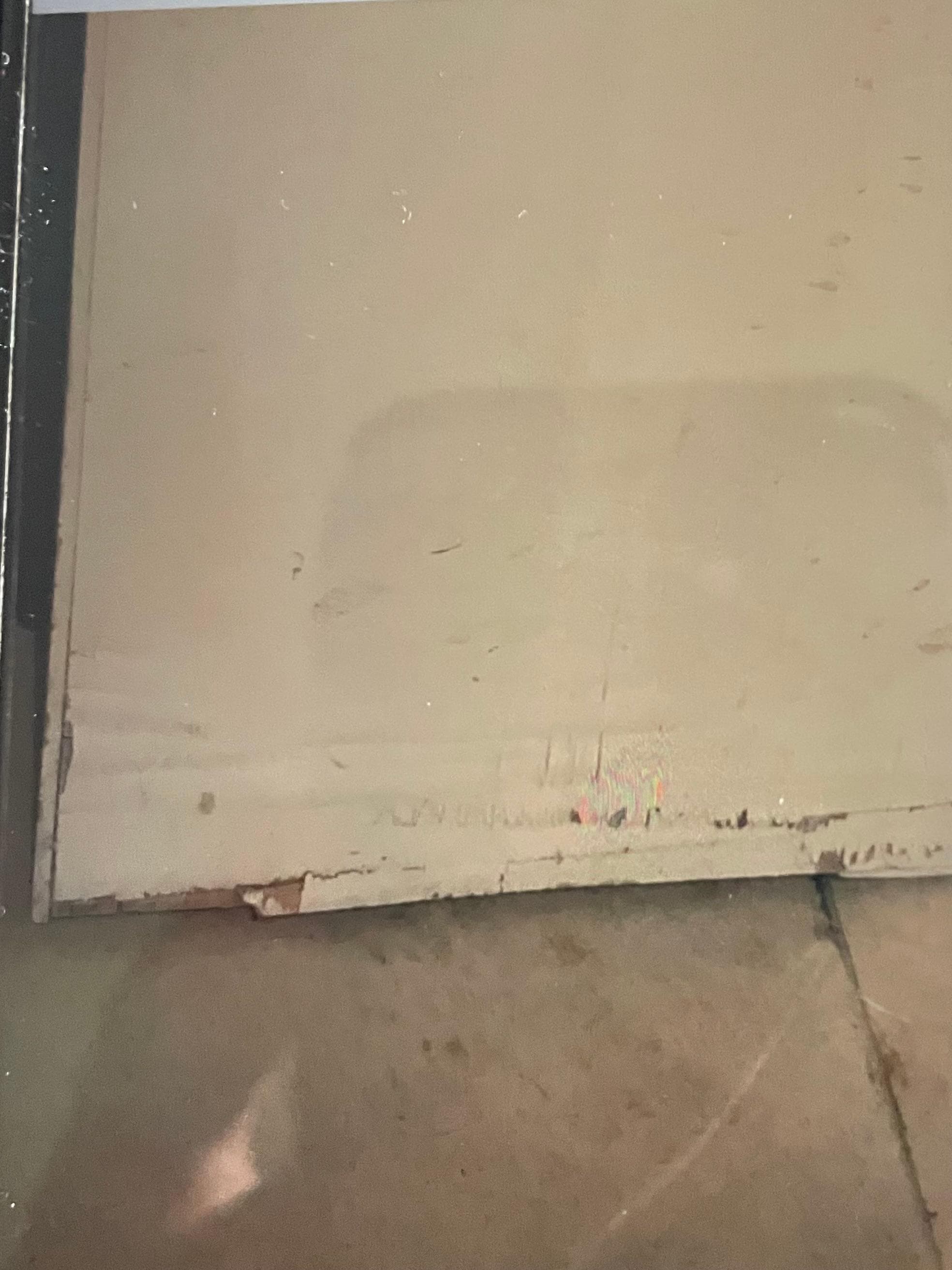 Bathroom door rotten
