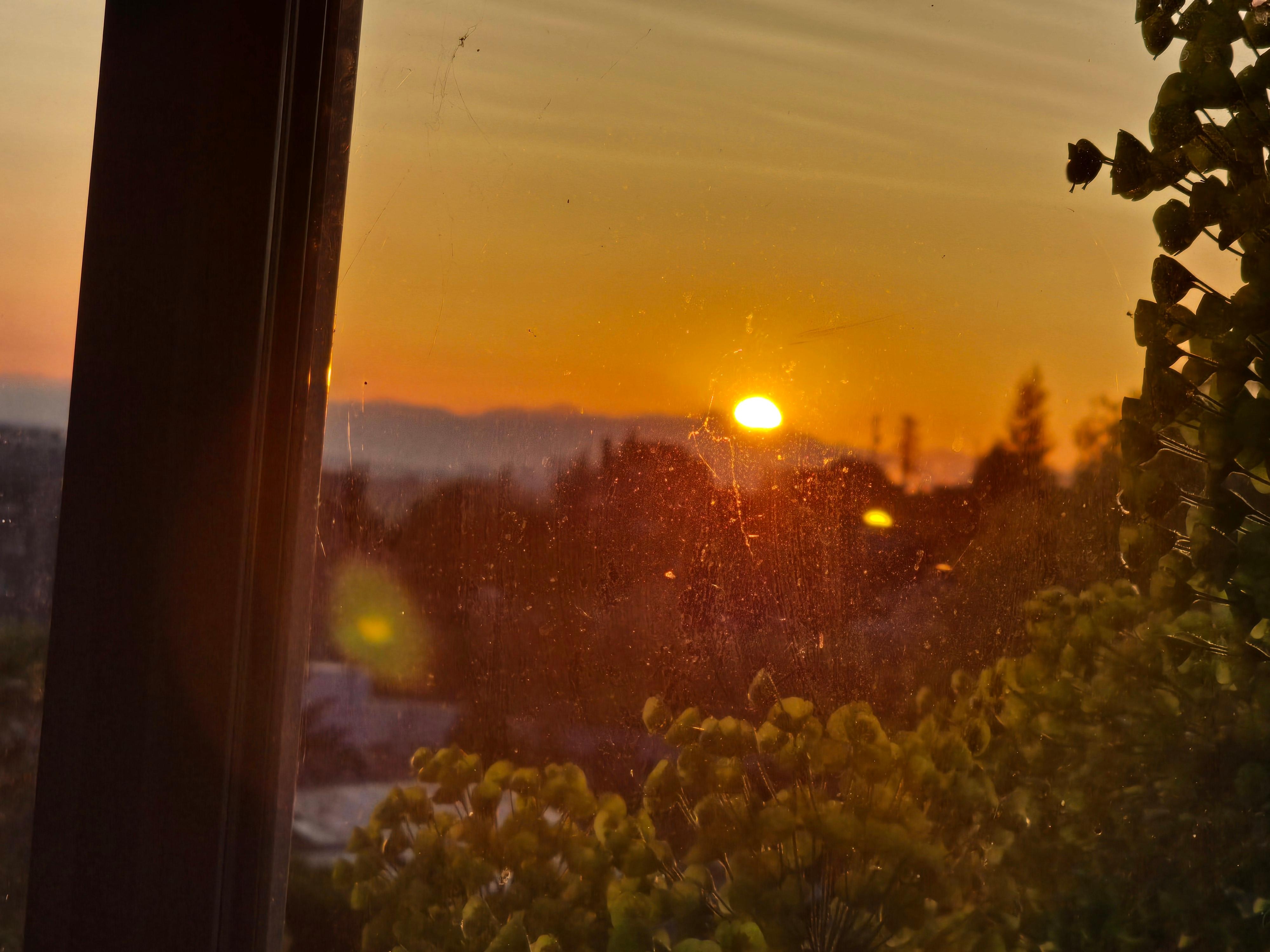 View from living room during sunrise