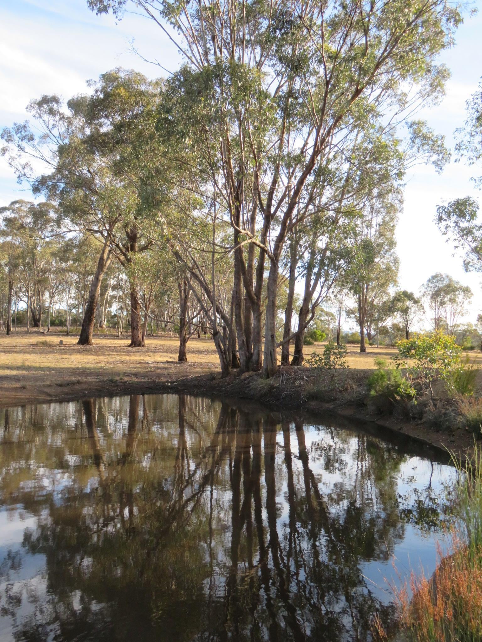 Nice walks around the property 