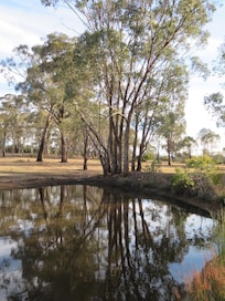 Nice walks around the property