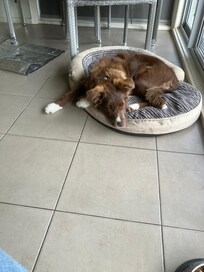 Ivy enjoying her part in the stay.