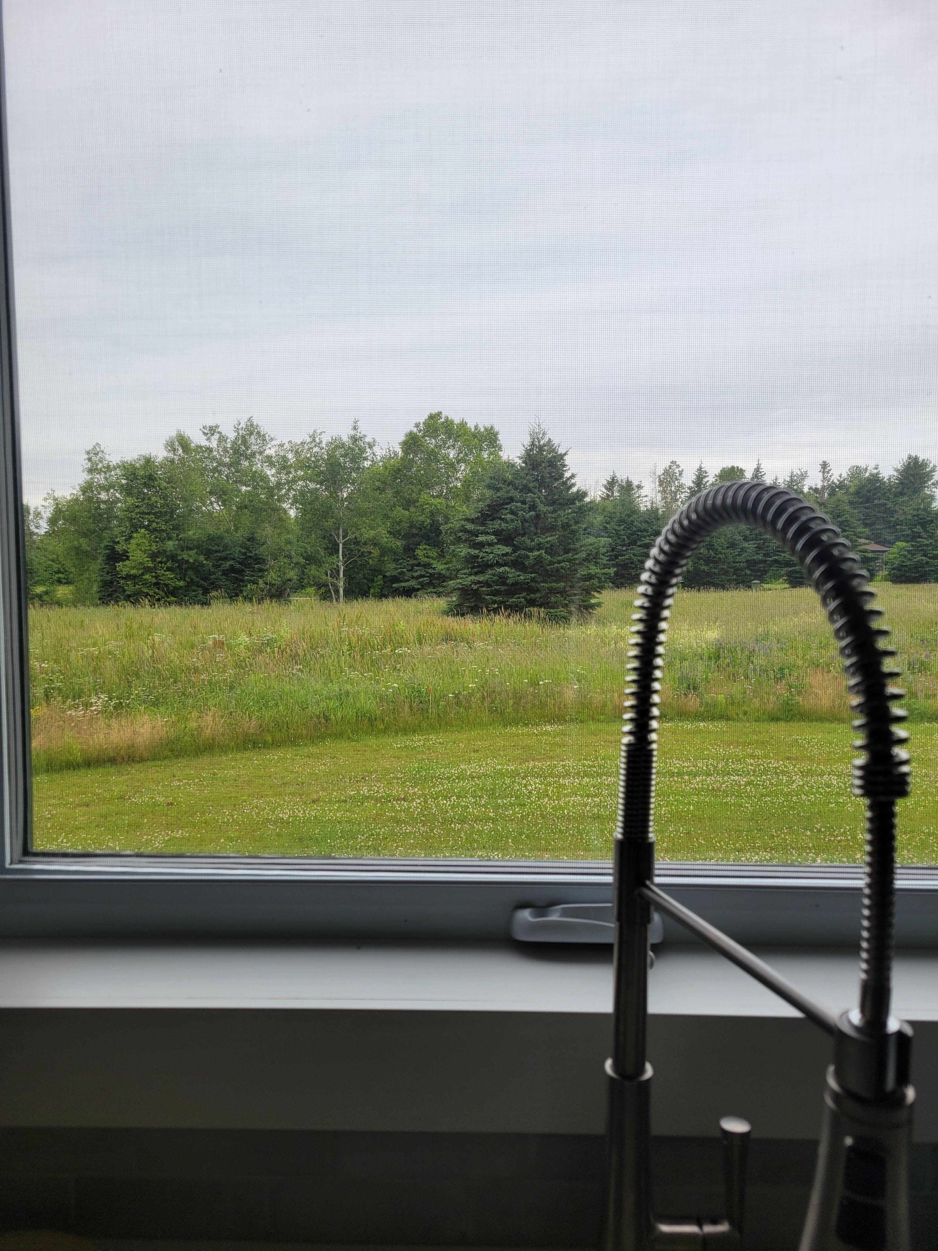 View from kitchen sink.