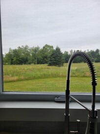 View from kitchen sink.