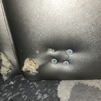Screws holding legs