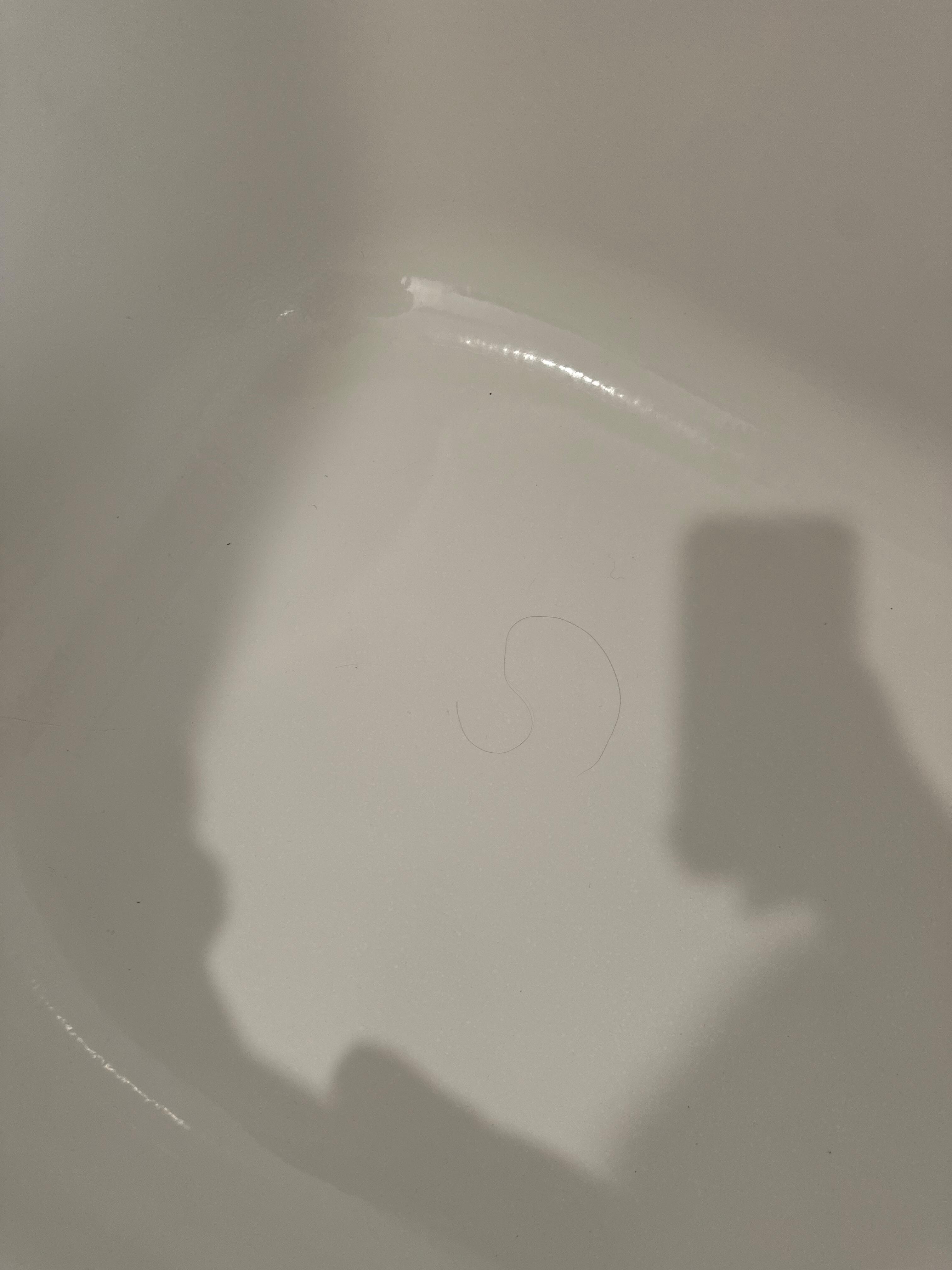 Hair in shower