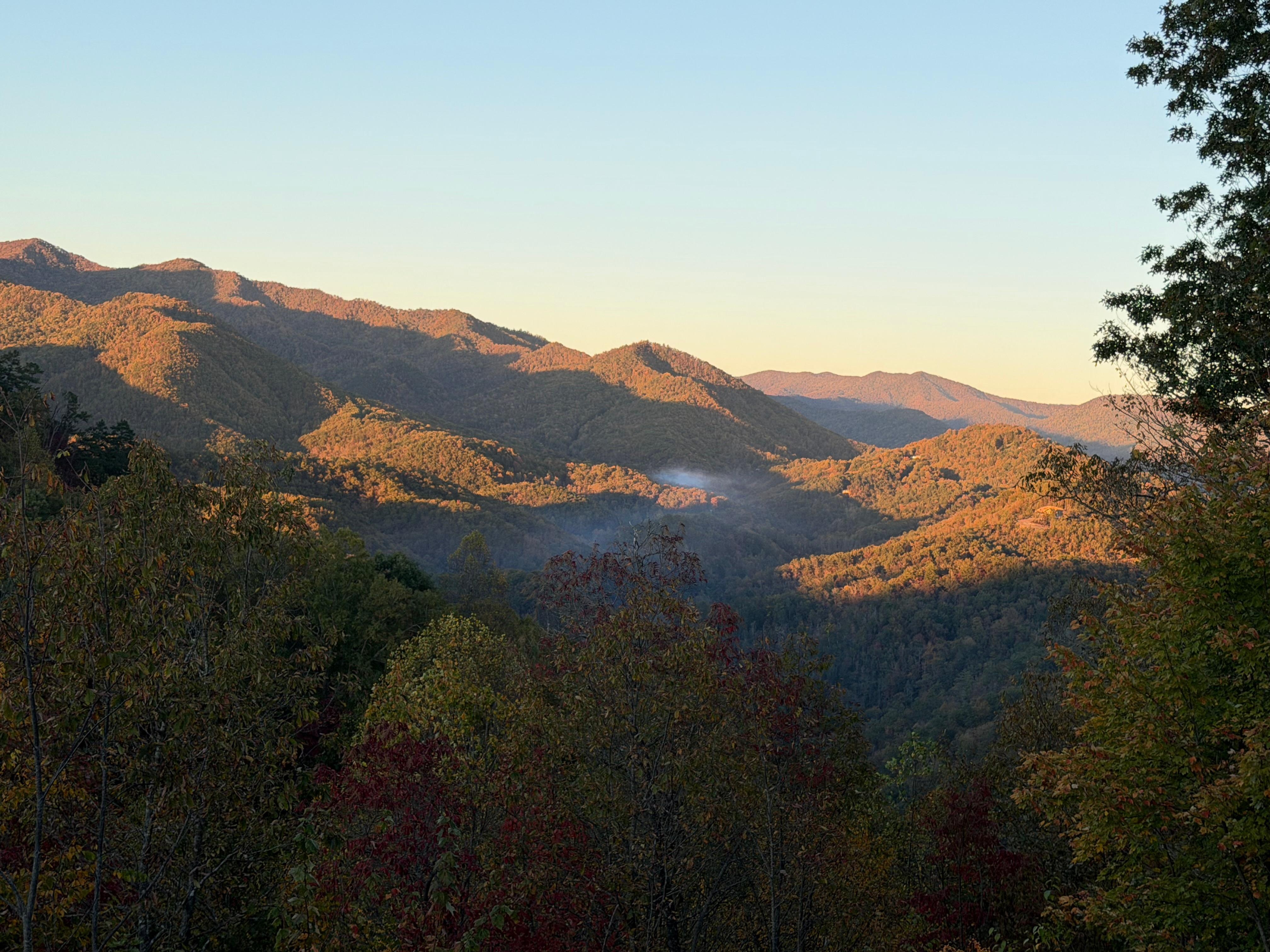 All photos taken from the deck