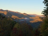 All photos taken from the deck