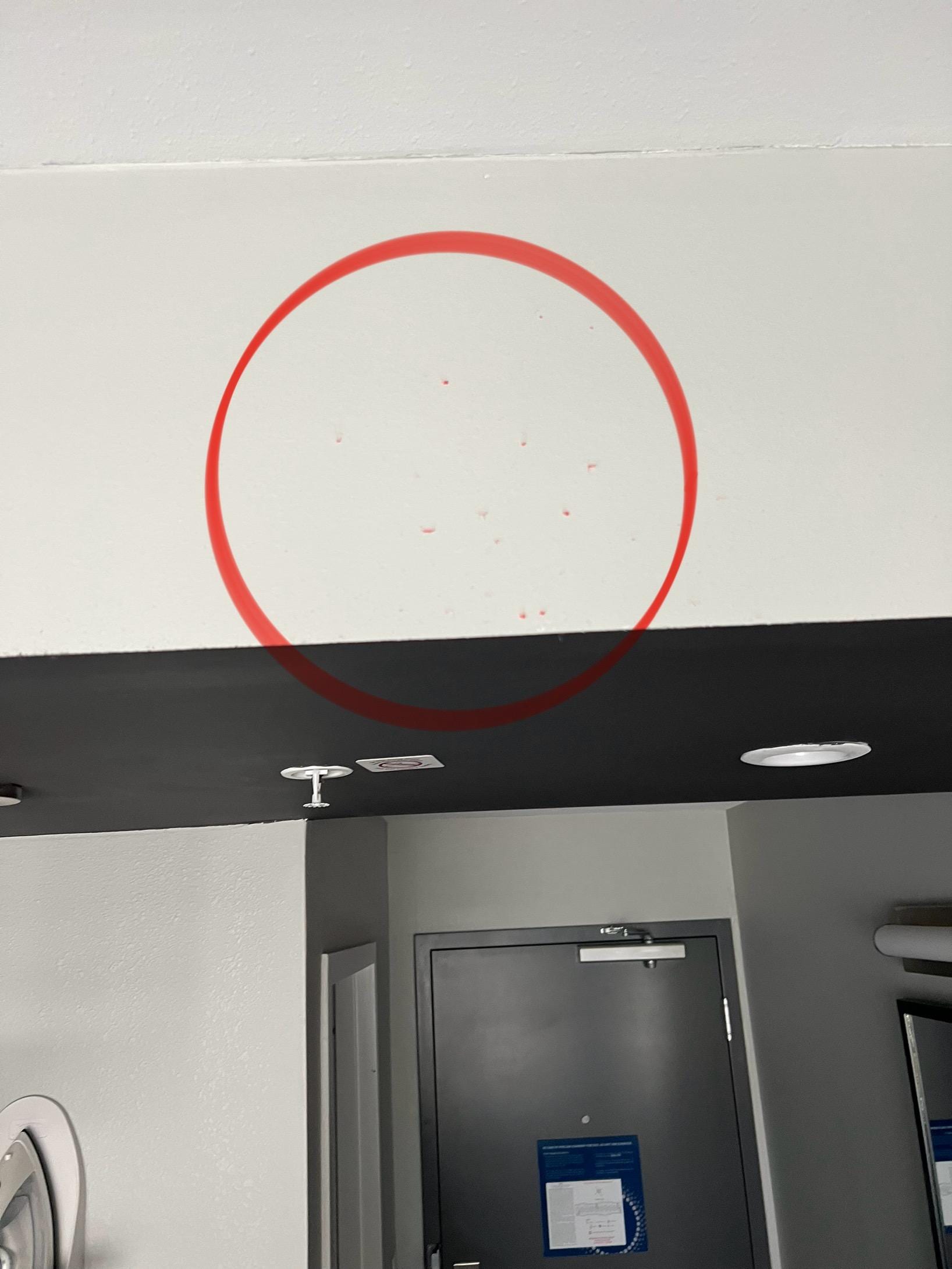 Liquid on the wall. This is just one spot.