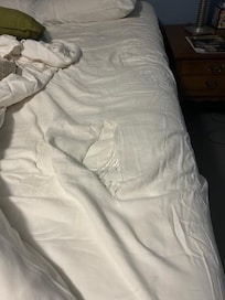 Torn Sheet