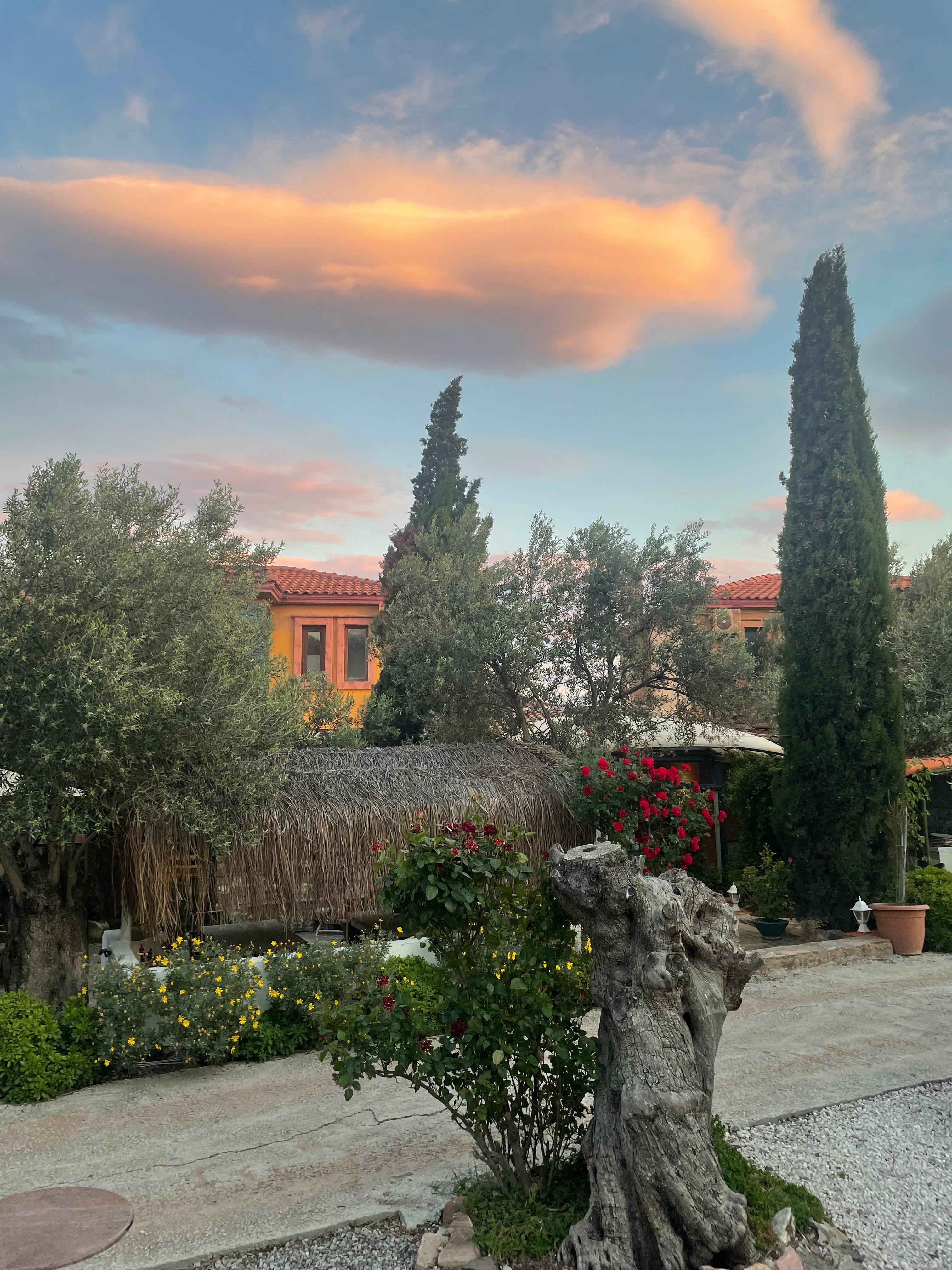 Sunrise at hotel garden