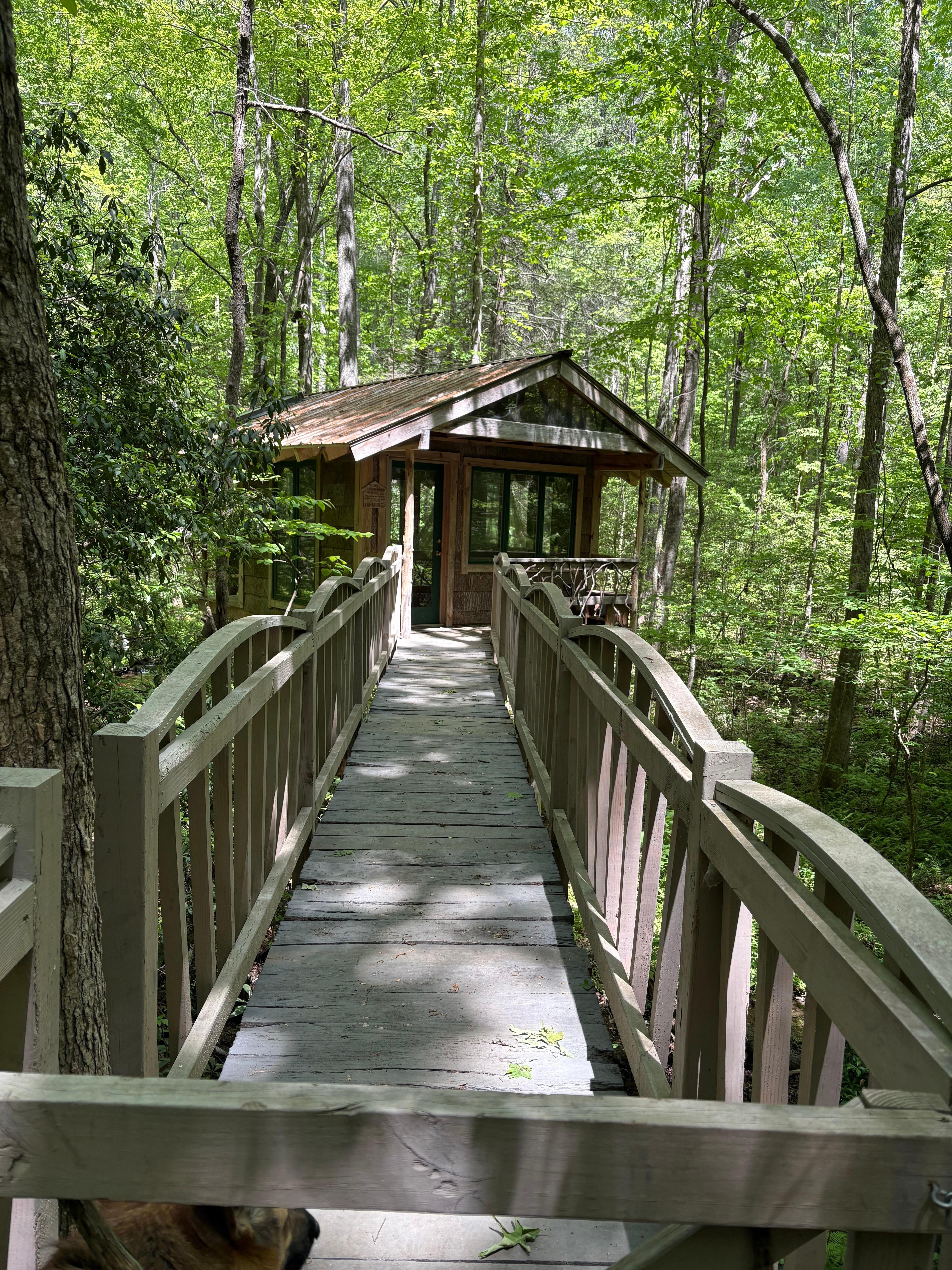The tree house