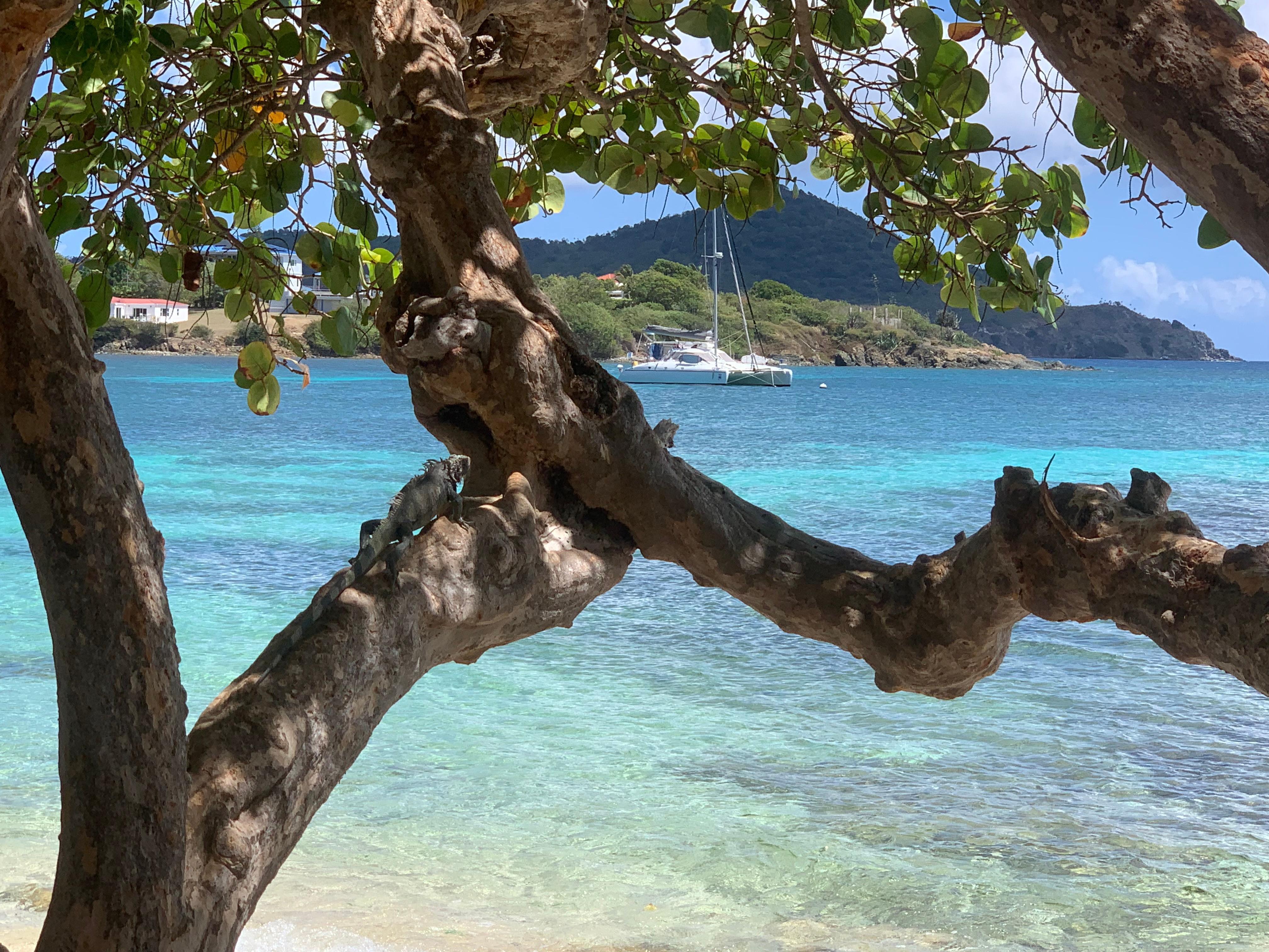 View from our beach chairs