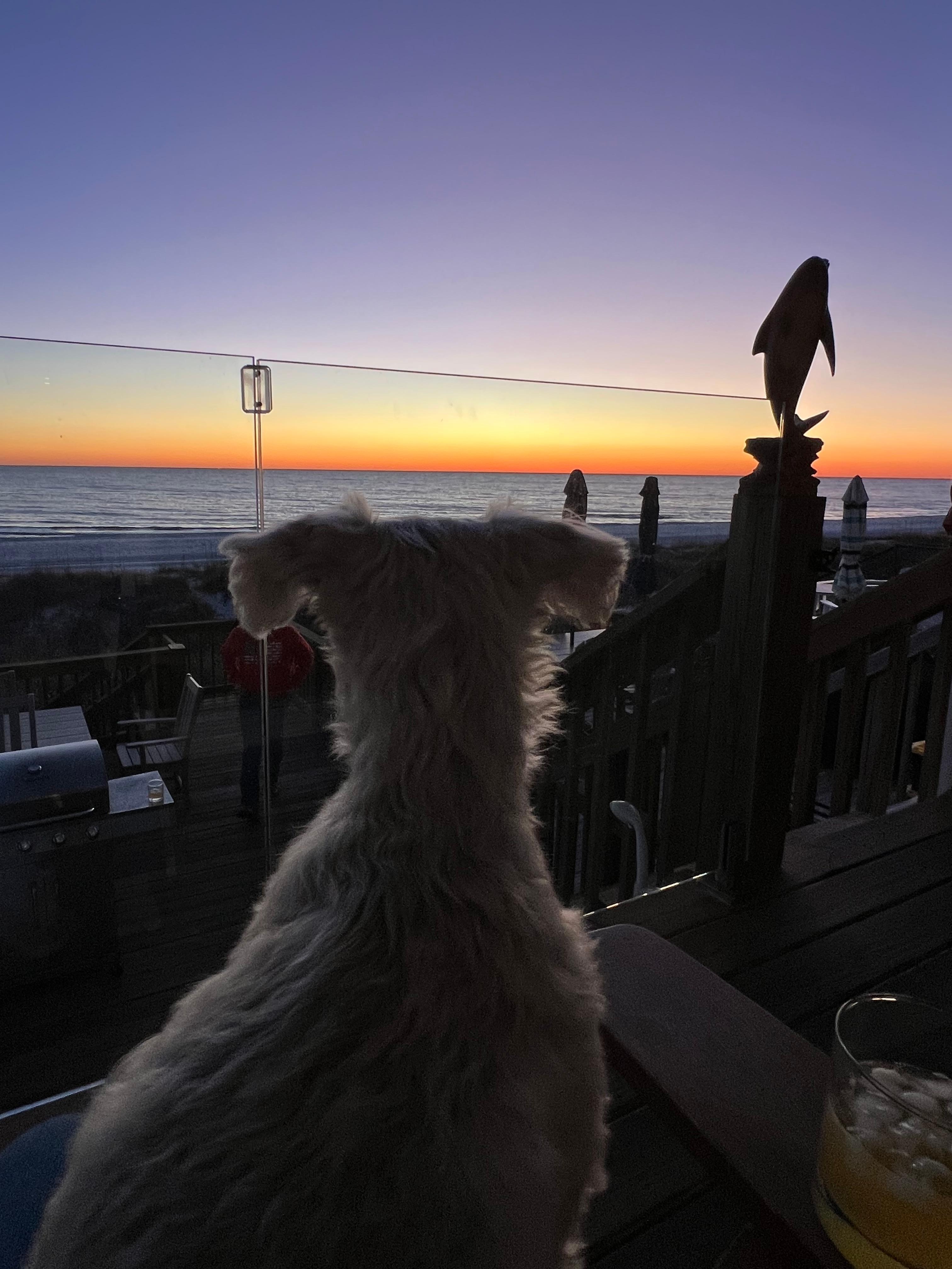 Enjoying our sunset 🌅 