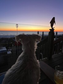 Enjoying our sunset 🌅