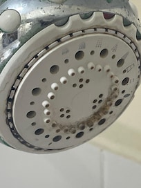 Dirty and moldy