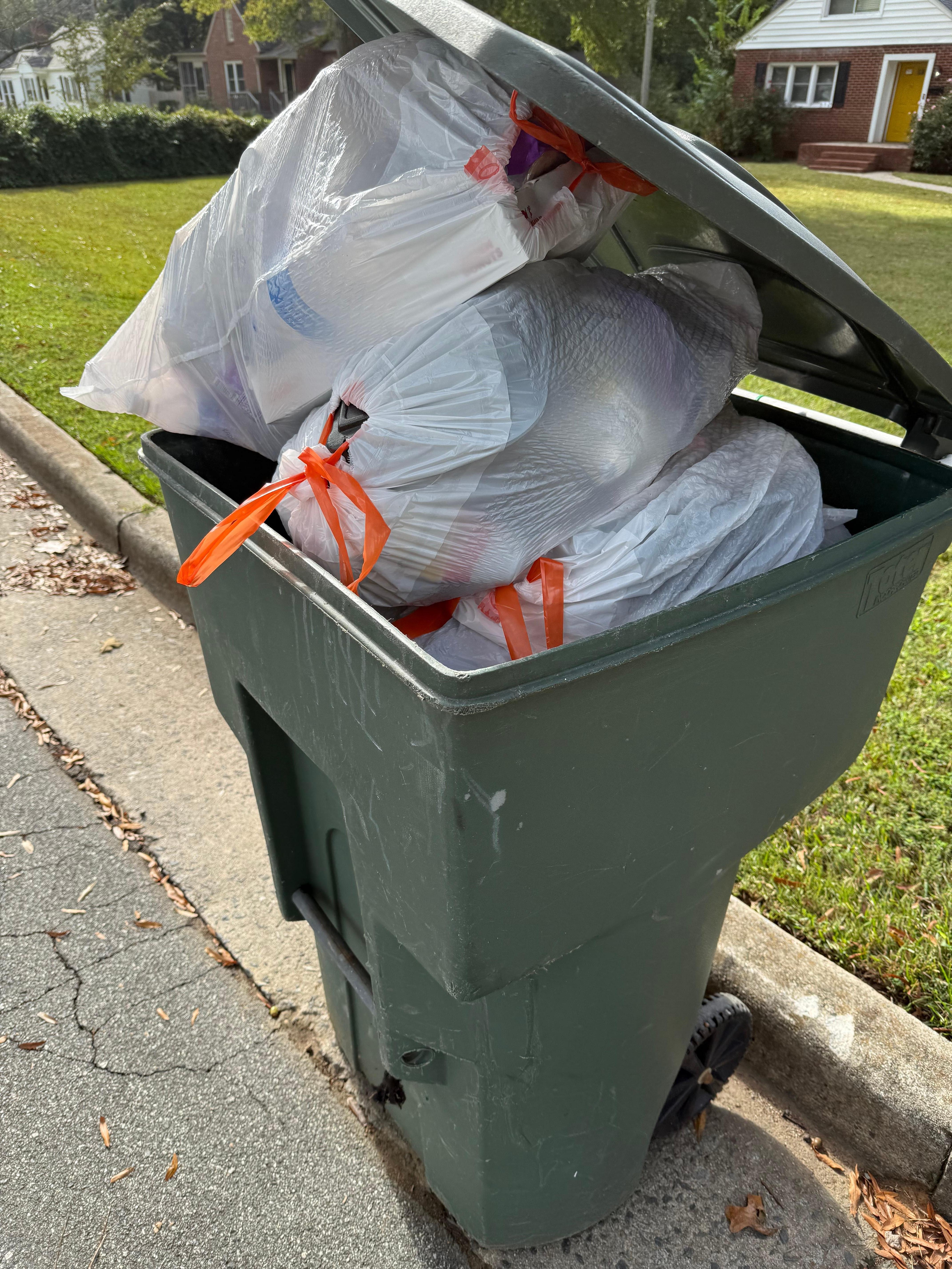 Trash can when we arrived 