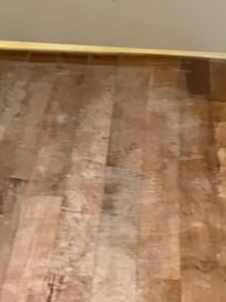 Dust from construction workers work boots & few guests