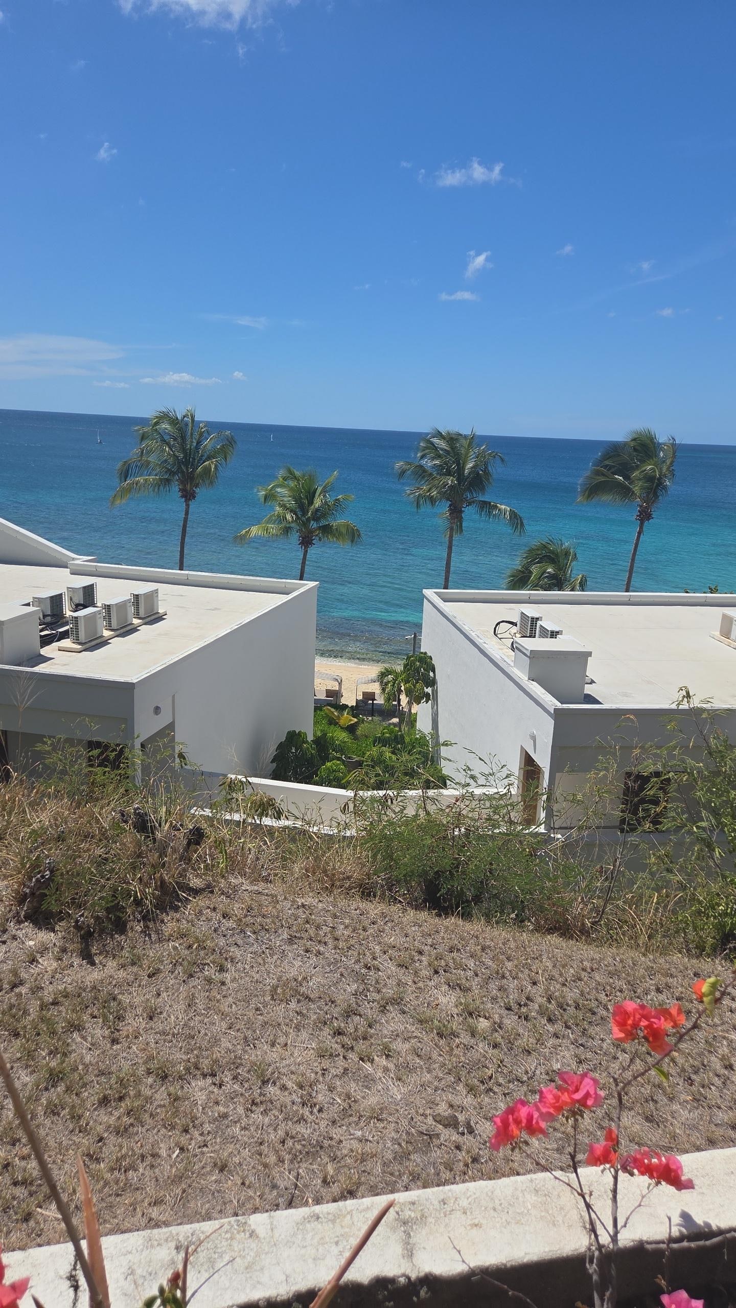 Ocean view