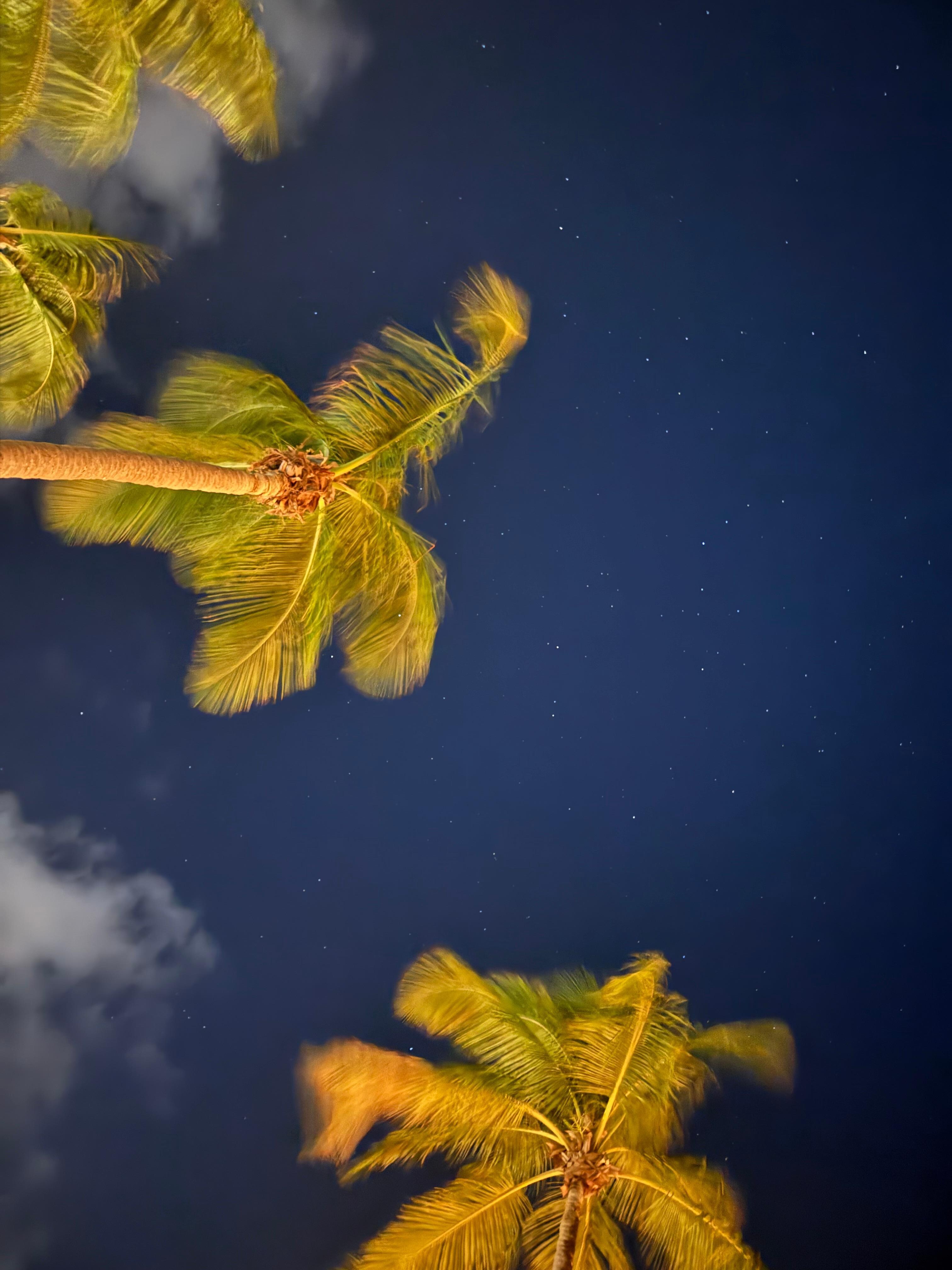 Laying on the outdoor beds looking up at the stars✨