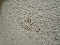 Blood on the wall, that's just gross