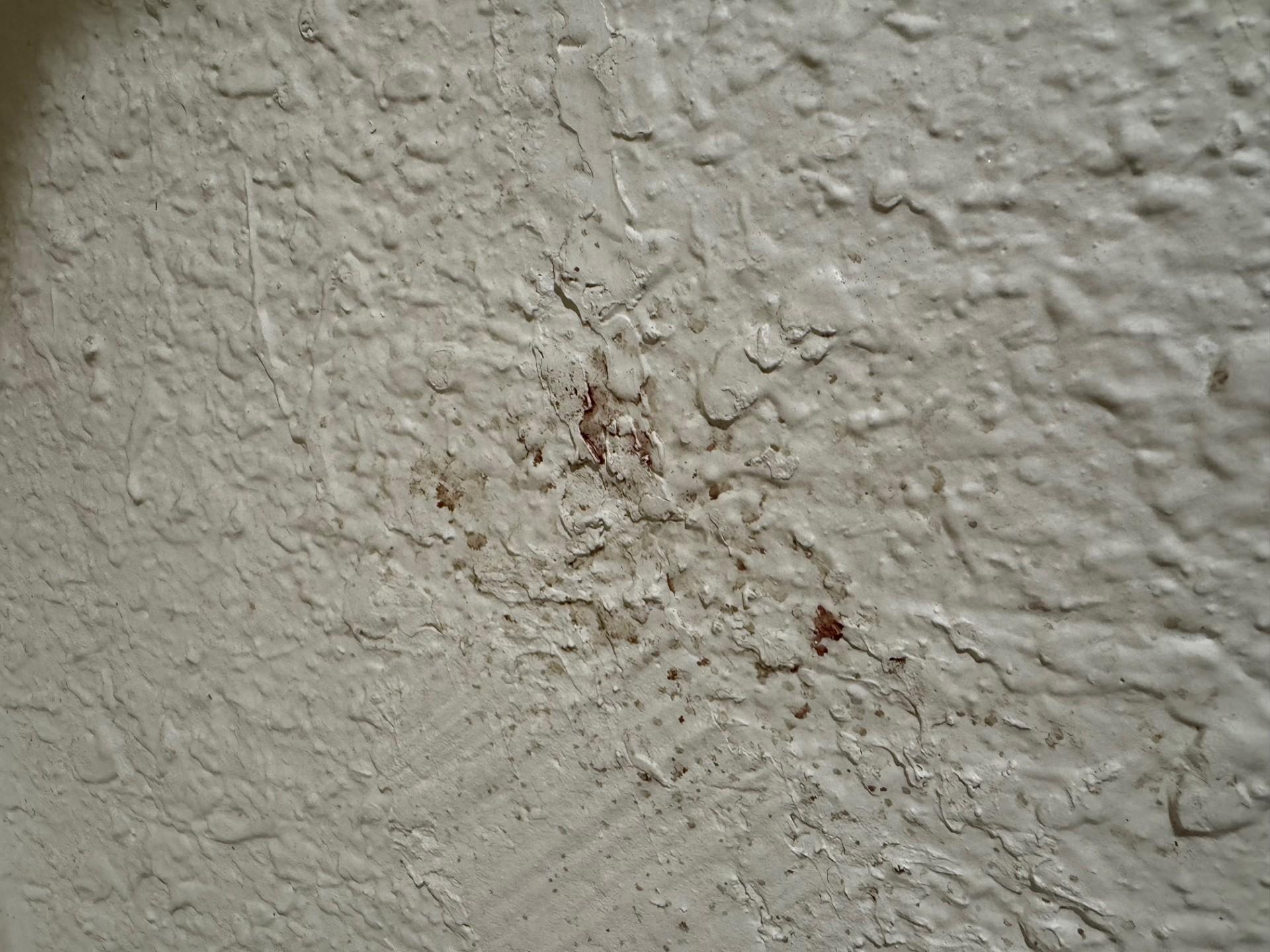 Blood on the wall, that's just gross