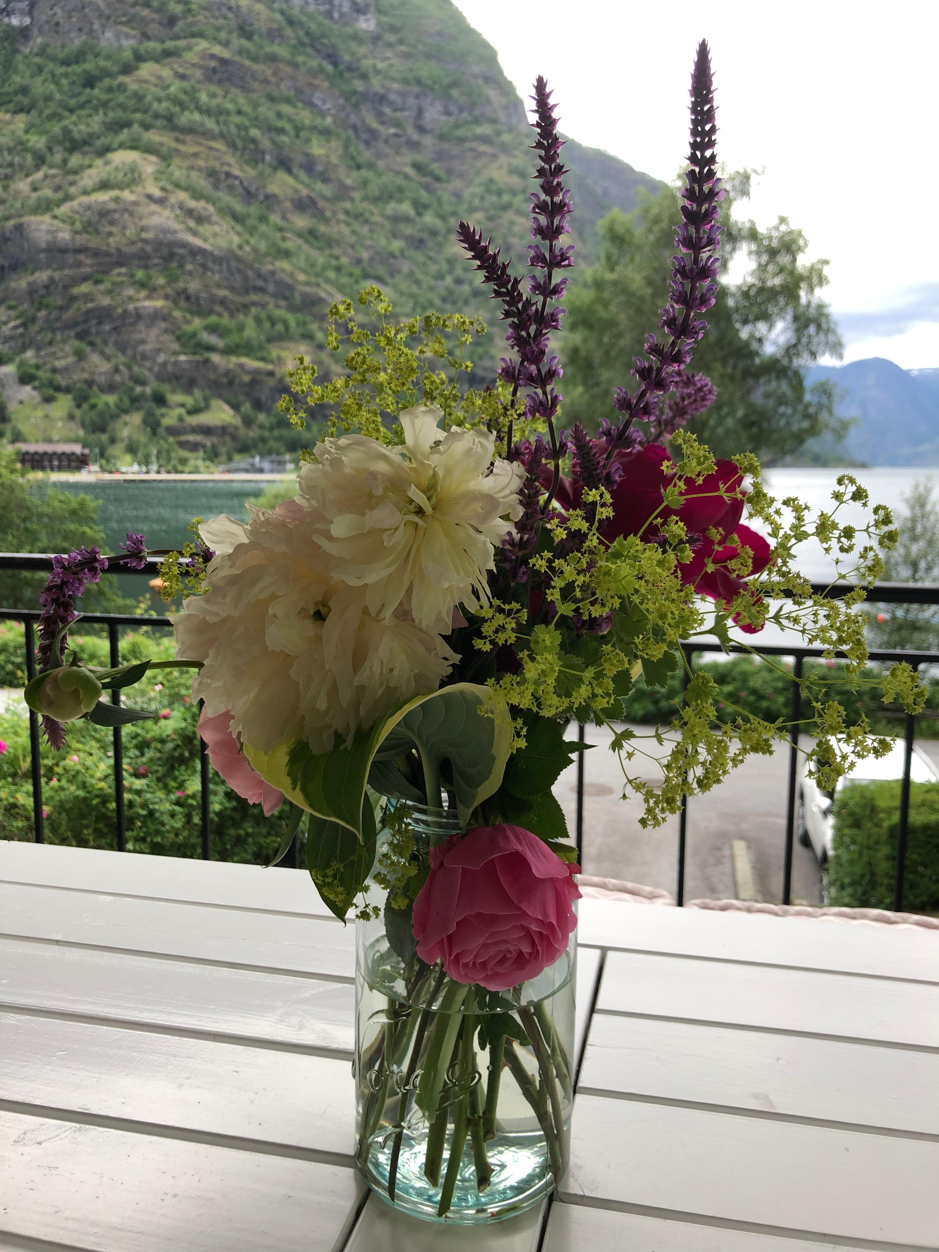 Nydelig utsikt og veldig flotte blomster