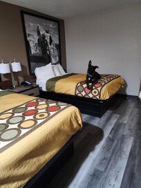 Not always easy to travel with a pet