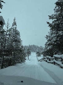 The road to cabins