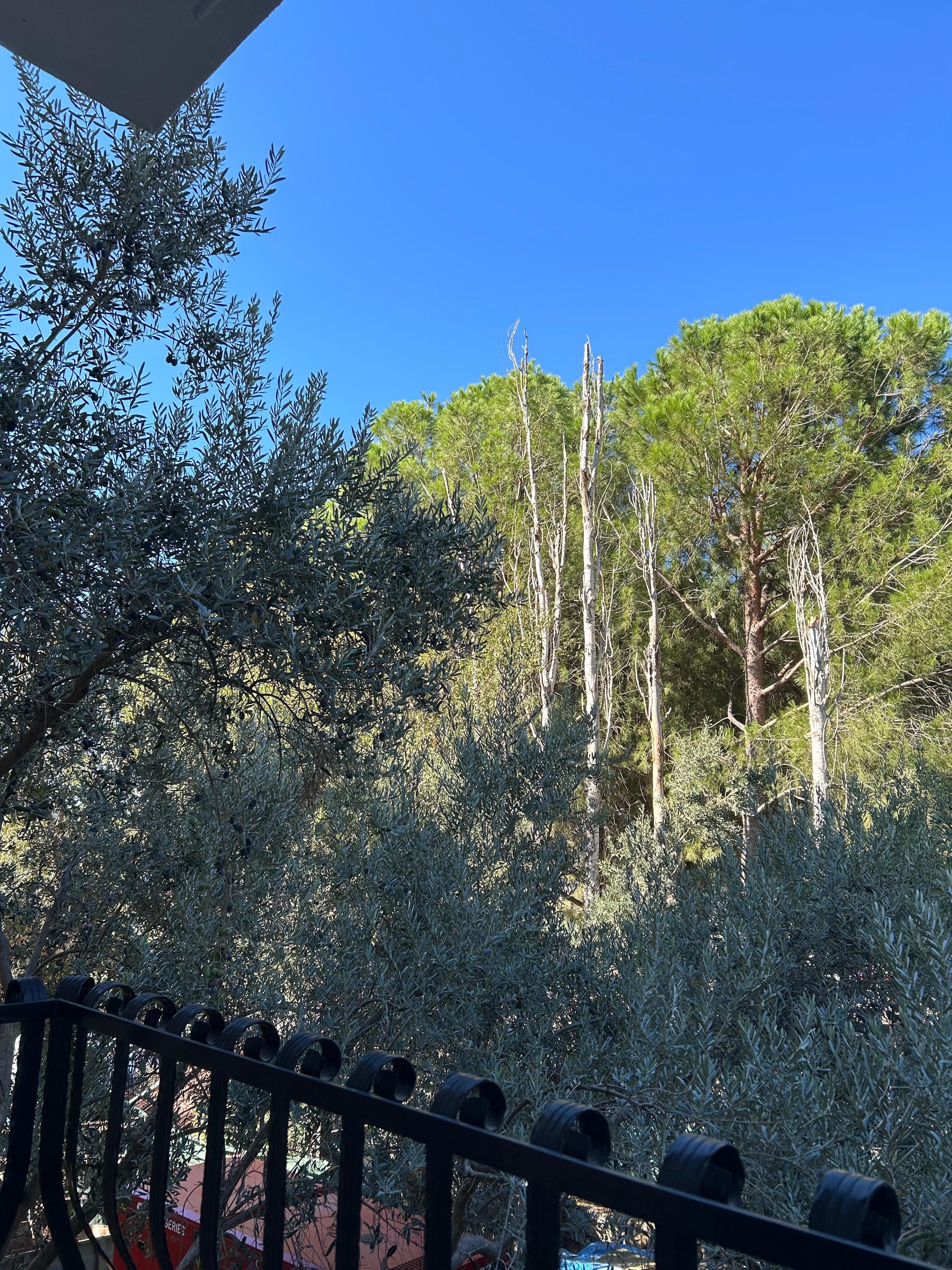 Kaldığım odanın balkon manzarası