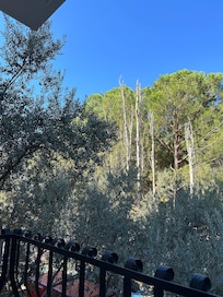 Kaldığım odanın balkon manzarası